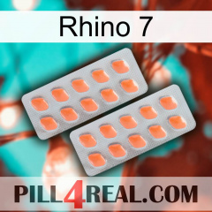 Rhino 7 27